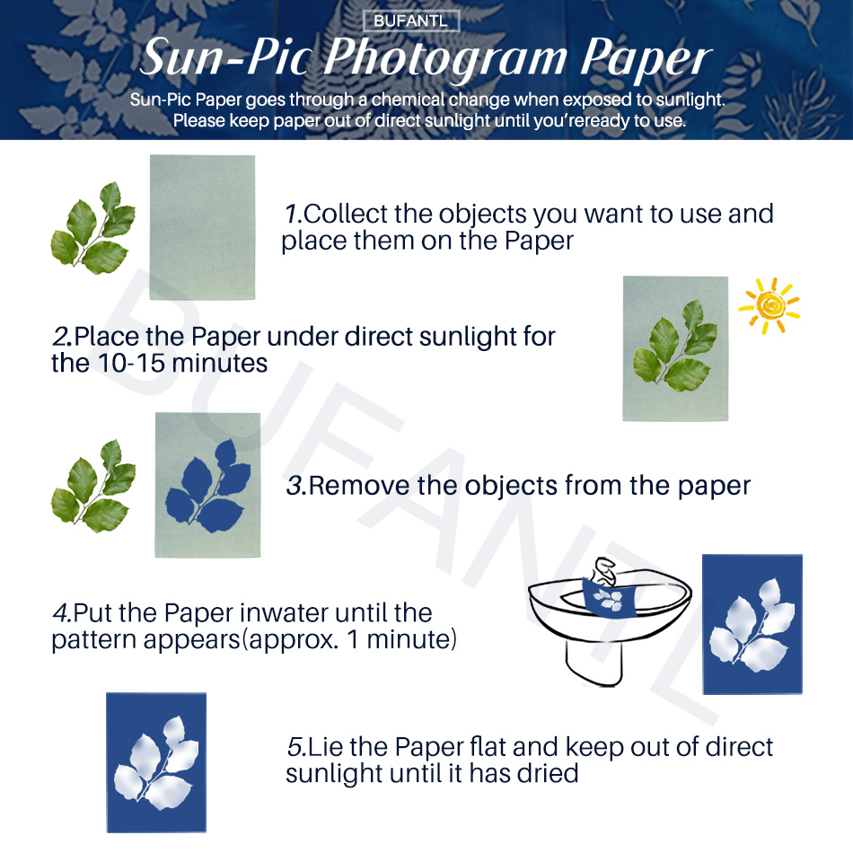 Cyanotype Paper 12 Sheets Refi - Photography Lighting For Beginners บทวิจารณ์และราคา