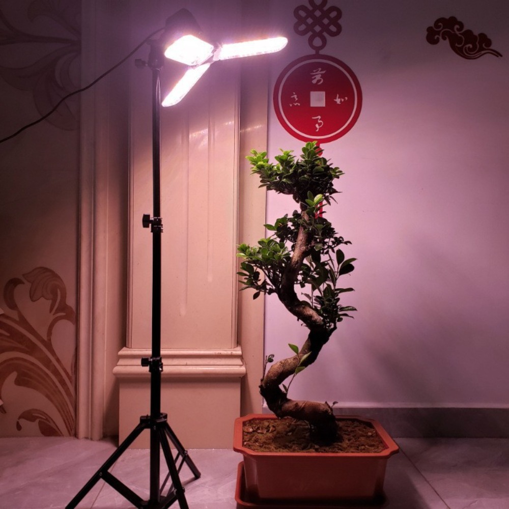 Light Bulb Stand 2M, E27 AC So - Stand Lighting Photography บทวิจารณ์และราคา